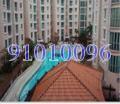 The Sunny Spring (D14), Apartment #132968692